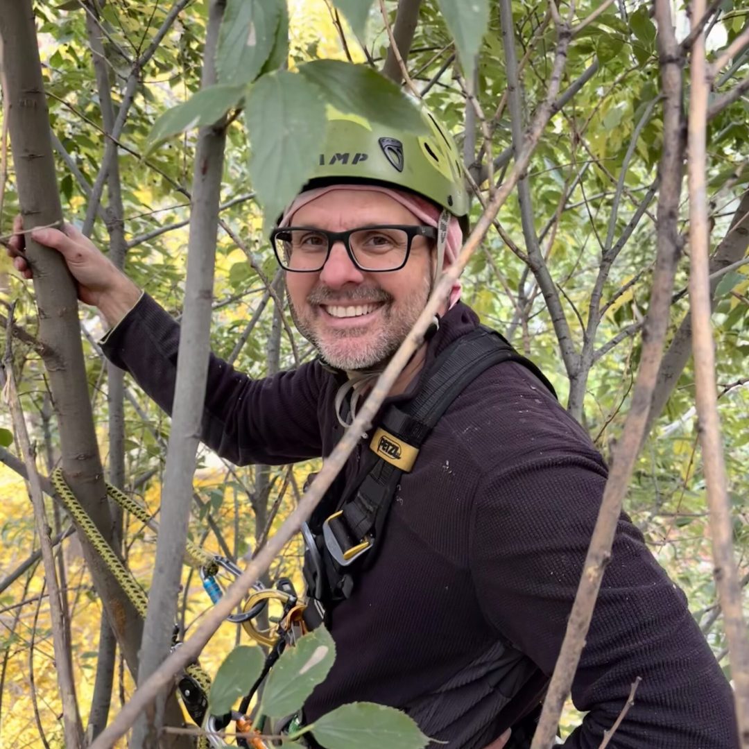 Arboricoltore