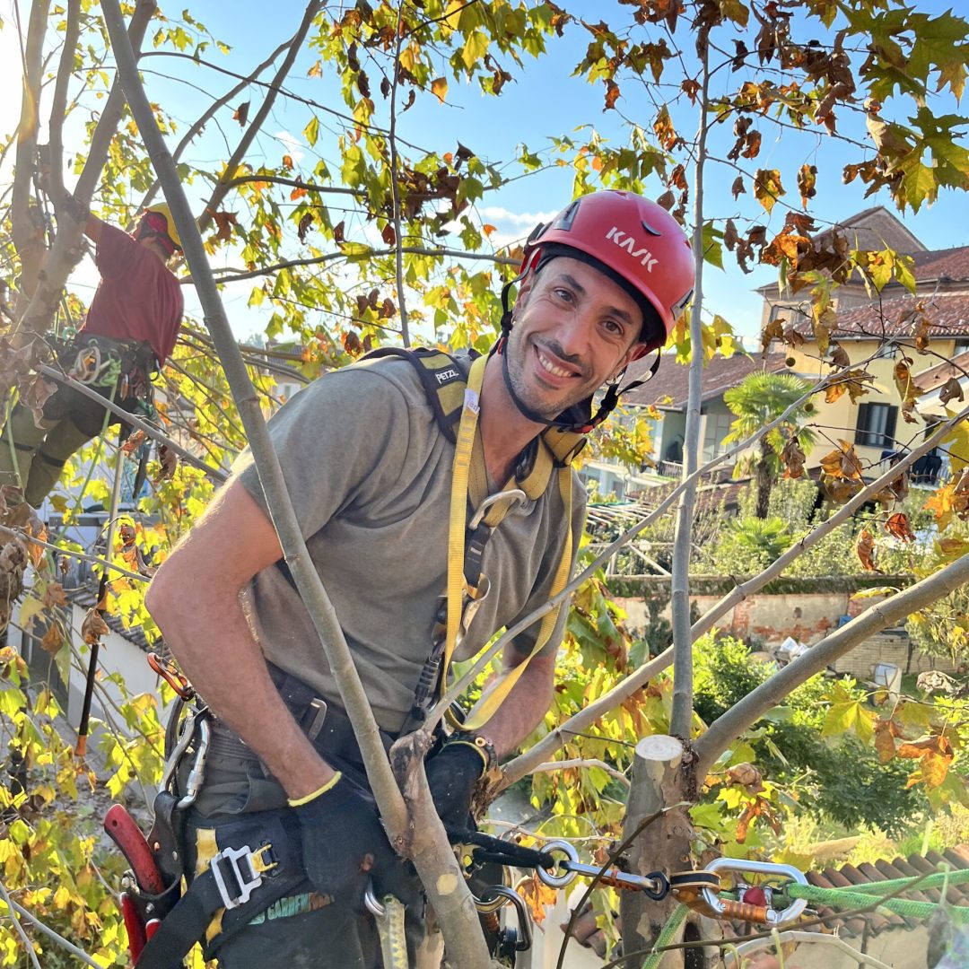 Treeclimber_1